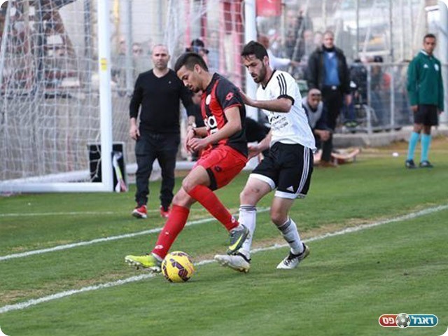 עומר הלוי (עדי מלול)